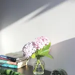 度假居 Casinha Da Andorinha -
