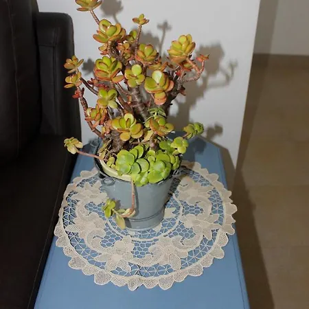 Casinha Da Andorinha - Casa de Férias Ericeira