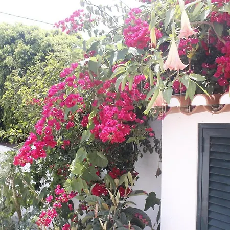 Casa de Férias Casinha Da Andorinha -