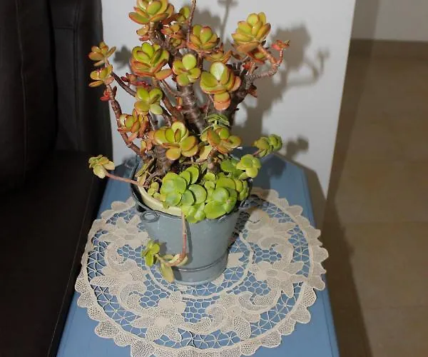Casinha Da Andorinha - Casa vacanze Ericeira